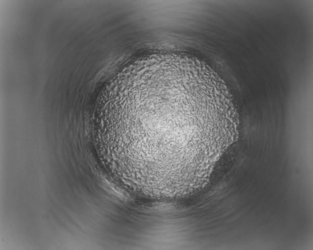 X0000076080457200610202044