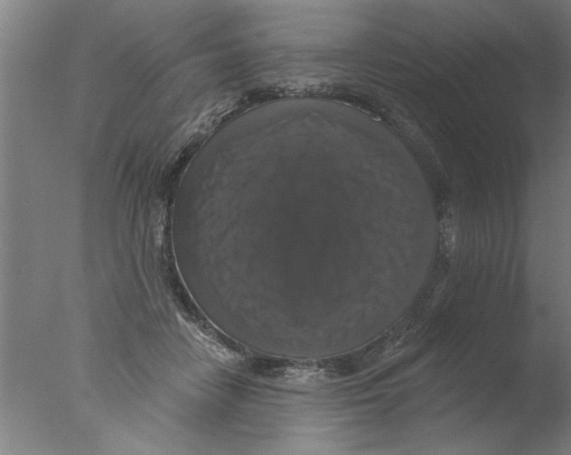 X0000076080458200610202044