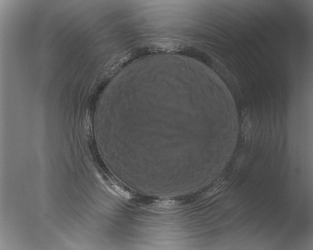 X0000076080459200610202045