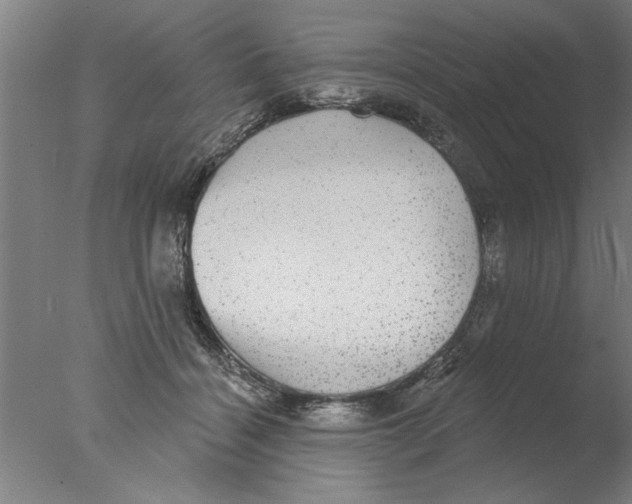 X0000076080460200610202045