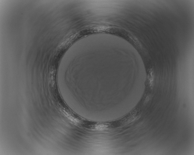 X0000076080462200610202045