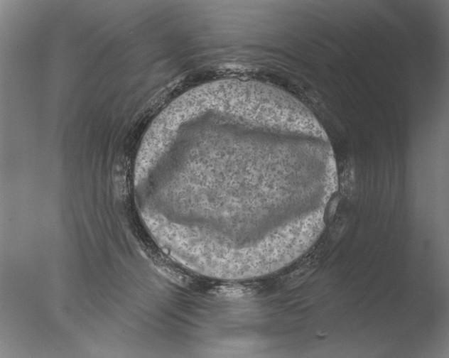 X0000076080464200610202045