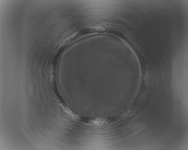 X0000076080466200610202045