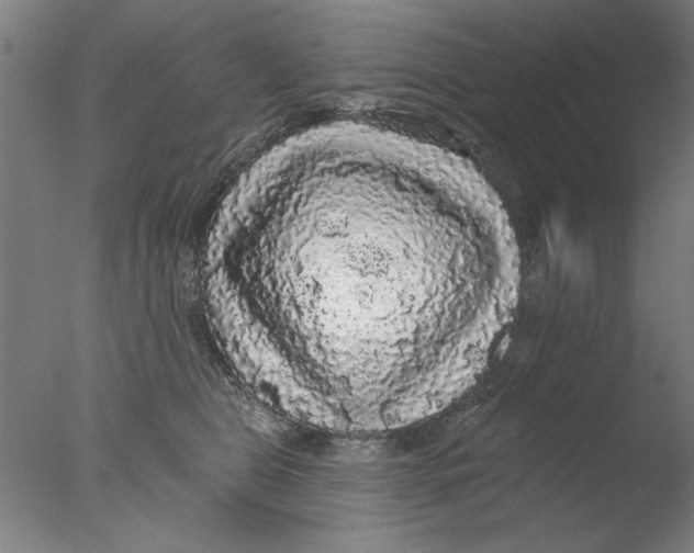 X0000076080469200610202045