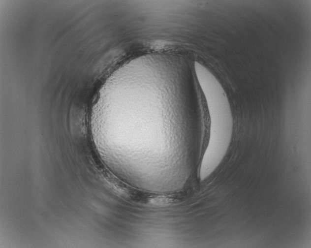 X0000076080470200610202045