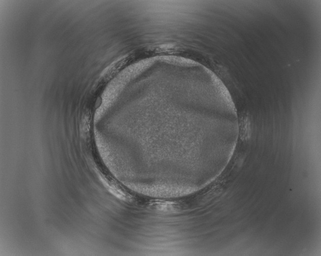 X0000076080472200610202045