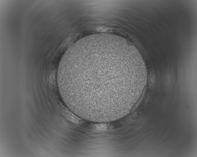 X0000076080473200610202045