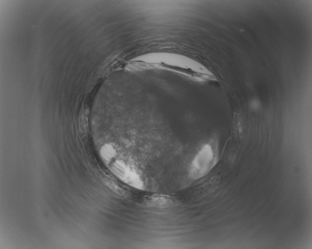 X0000076080475200610202045