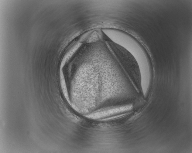 X0000076080481200610202044