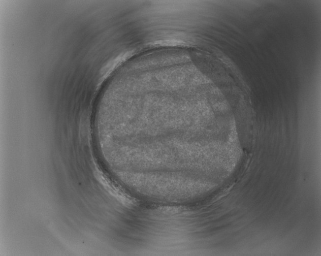 X0000076080482200610202044