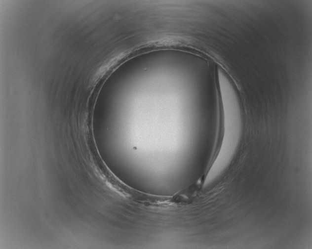 X0000076080485200610202044