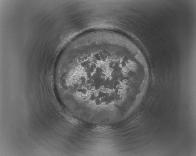 X0000076080487200610202044