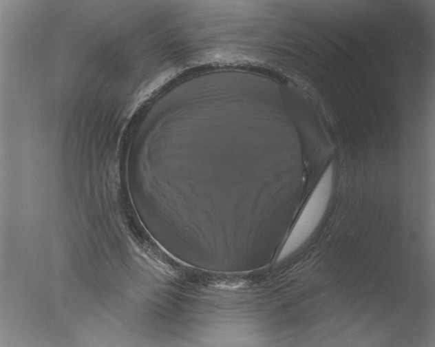 X0000076080488200610202044