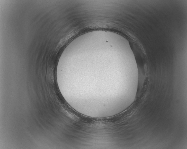 X0000076080489200610202044