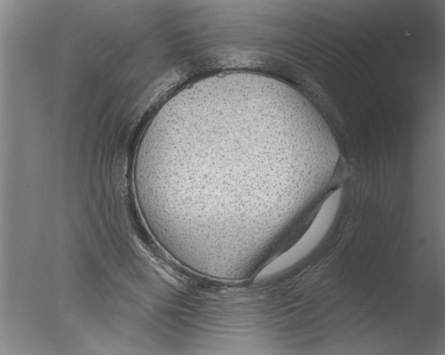 X0000076080490200610202044