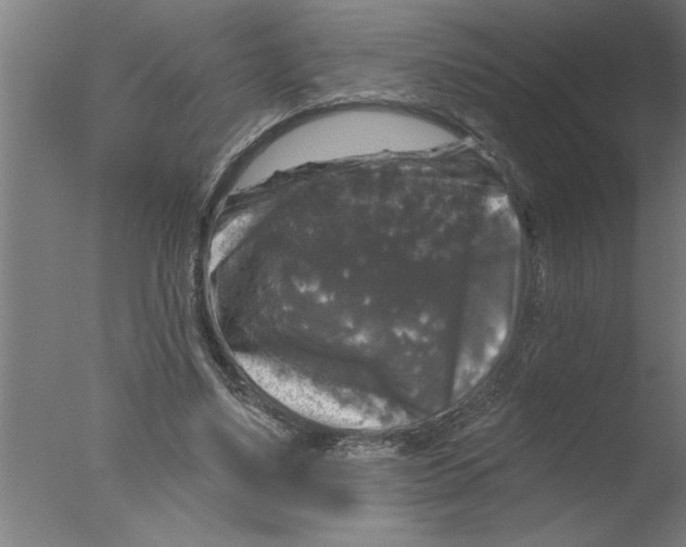 X0000076080491200610202044