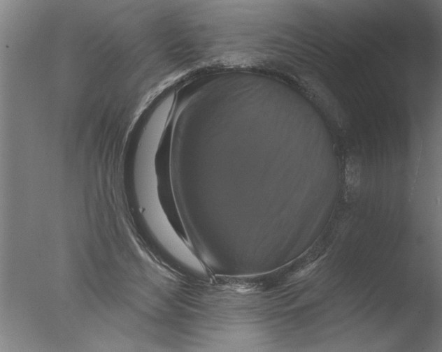 X0000076080492200610202044