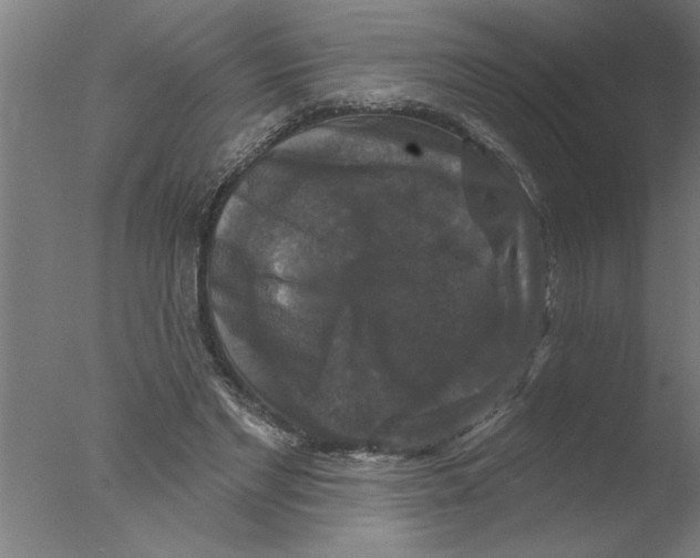 X0000076080493200610202044