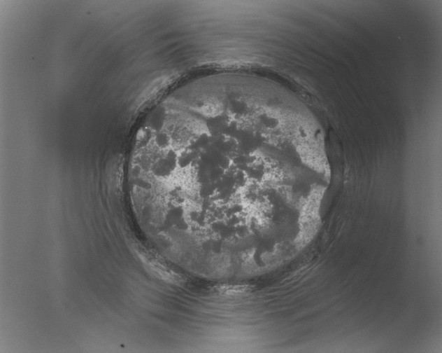 X0000076080495200610202044