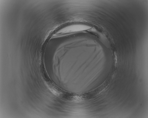 X0000076080496200610202044