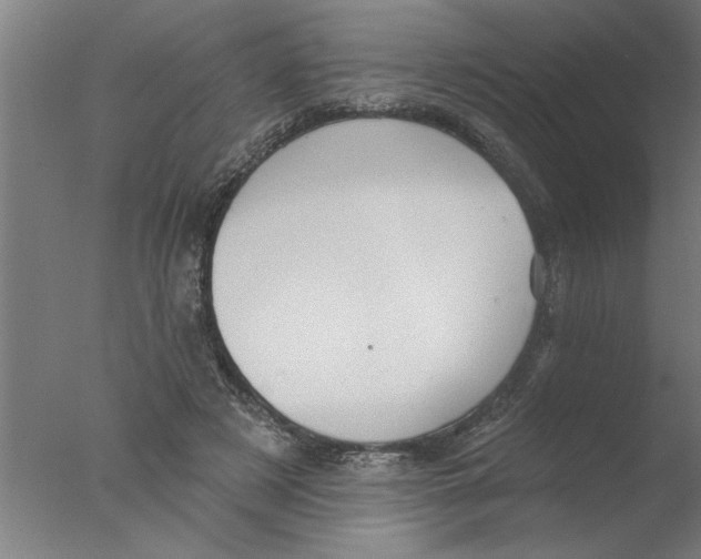 X0000076080497200610202044