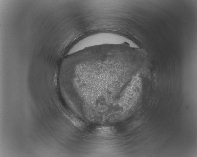 X0000076080499200610202044