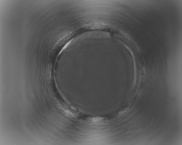 X0000076080501200610202044