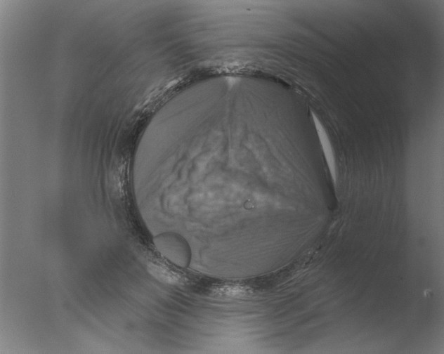 X0000076080503200610202044