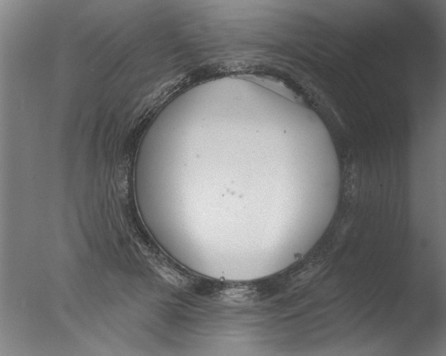 X0000076080505200610202044