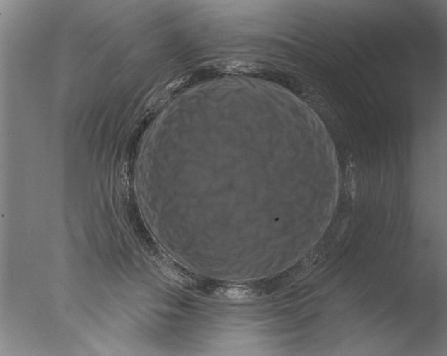 X0000076080506200610202044