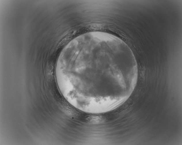 X0000076080507200610202044