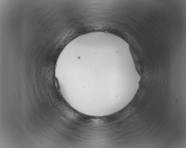 X0000076080509200610202044