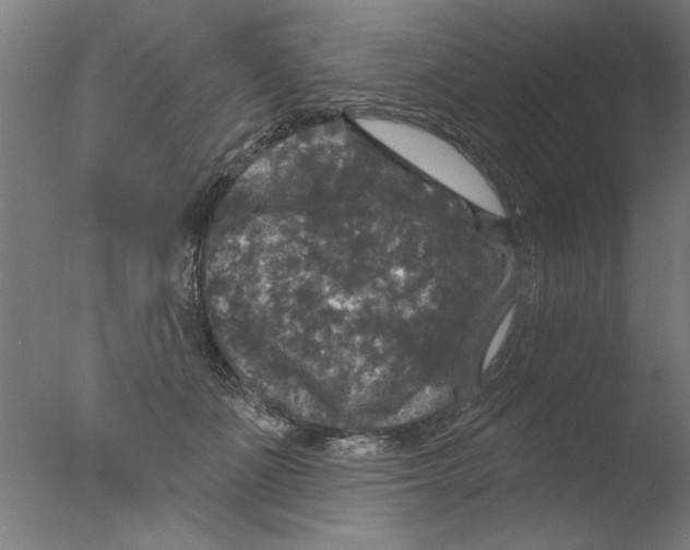 X0000076080511200610202044