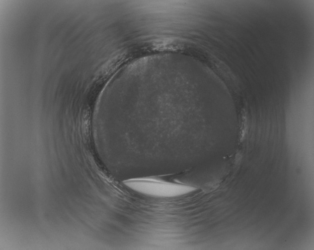 X0000076080513200610202044