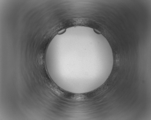 X0000076080514200610202043