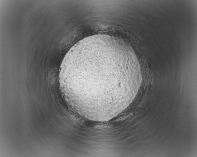 X0000076080515200610202043