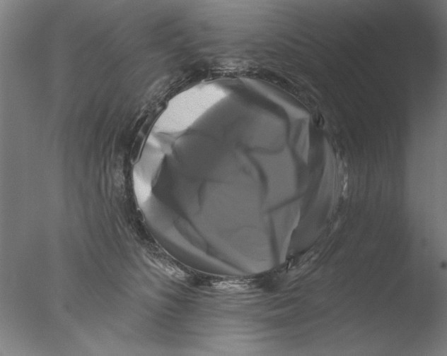 X0000076080516200610202043