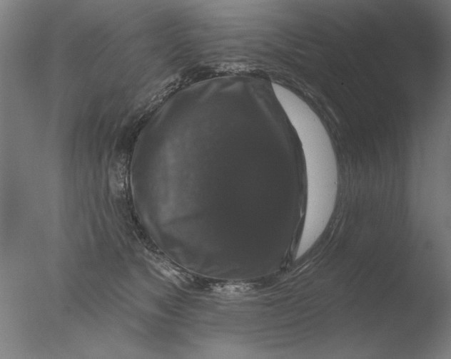 X0000076080517200610202043