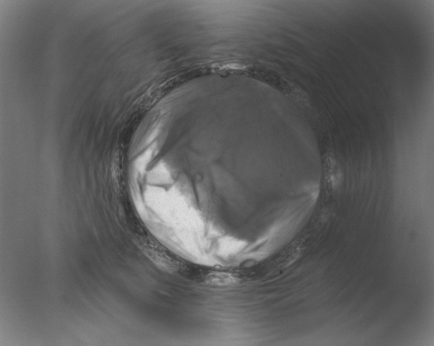 X0000076080519200610202043