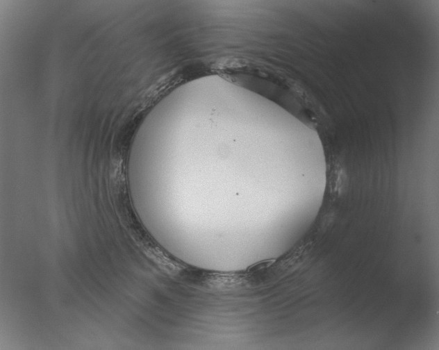 X0000076080521200610202043