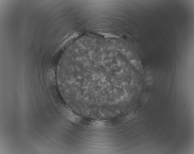 X0000076080523200610202043