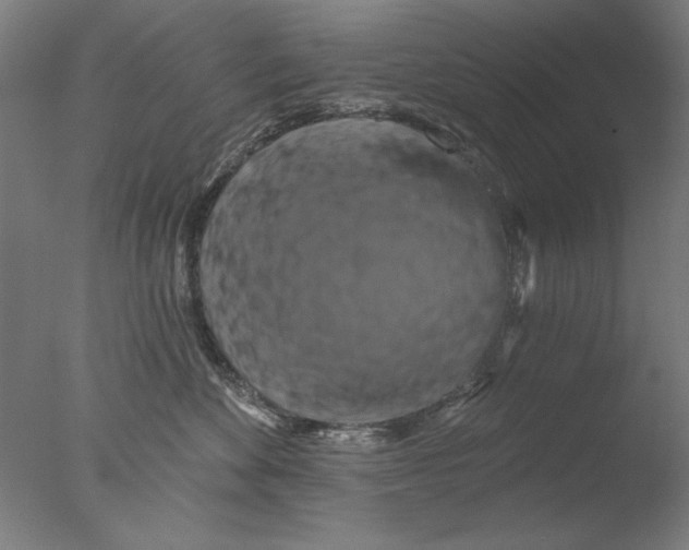 X0000076080524200610202043