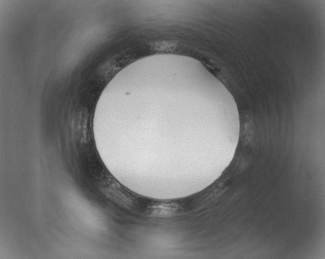 X0000076080525200610202043