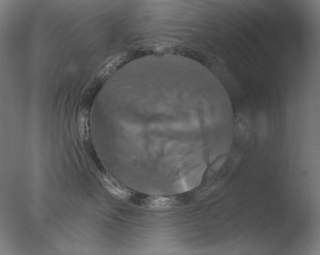 X0000076080527200610202043