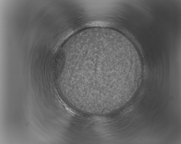 X0000076080529200610202042