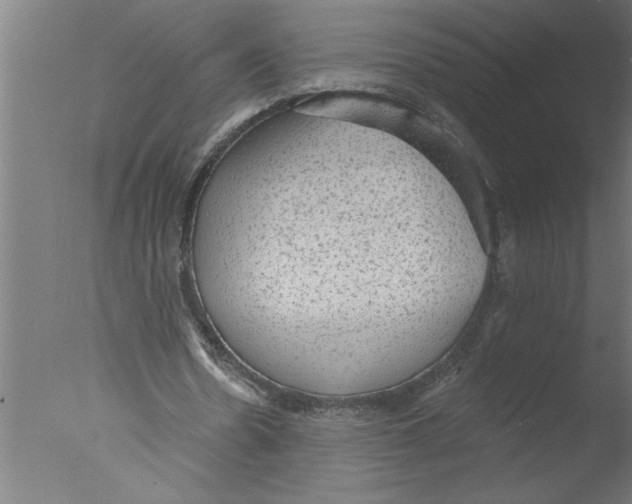 X0000076080530200610202042