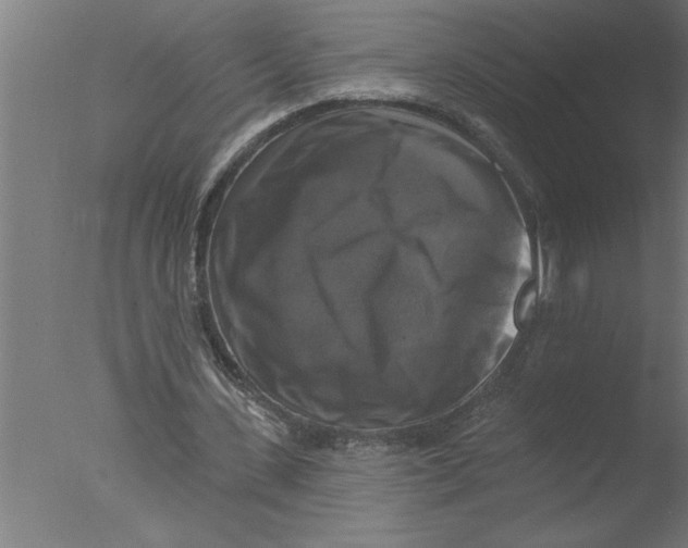 X0000076080531200610202042