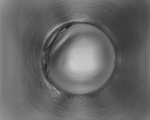 X0000076080532200610202043