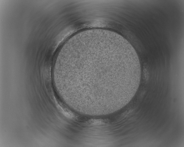 X0000076080534200610202043