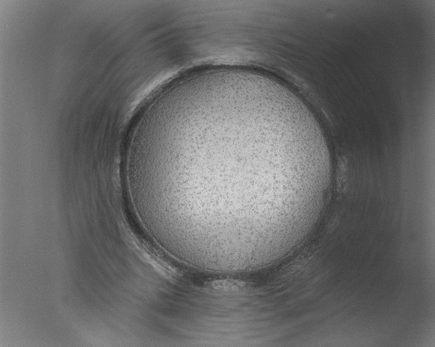 X0000076080535200610202043